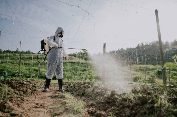 Best Best Pest Control Companies  in Honesdale, PA