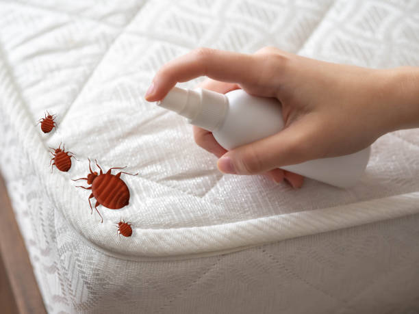 Trusted Honesdale, PA Pest Control Experts
